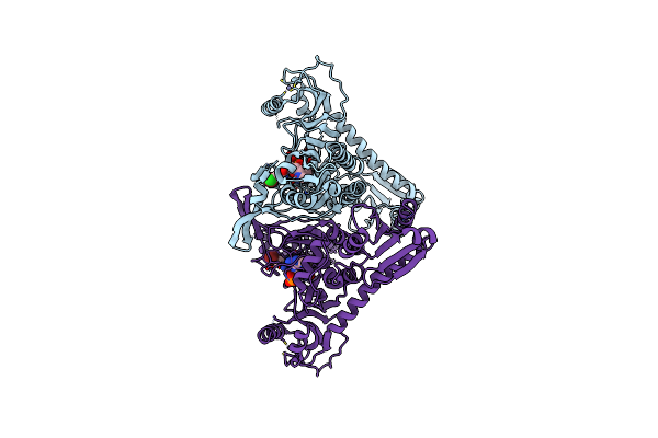 5XIO image