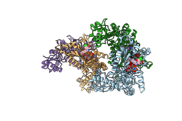 5XIP image