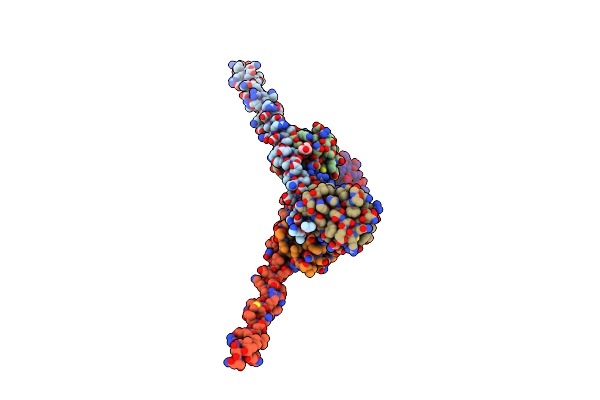 5XIS image