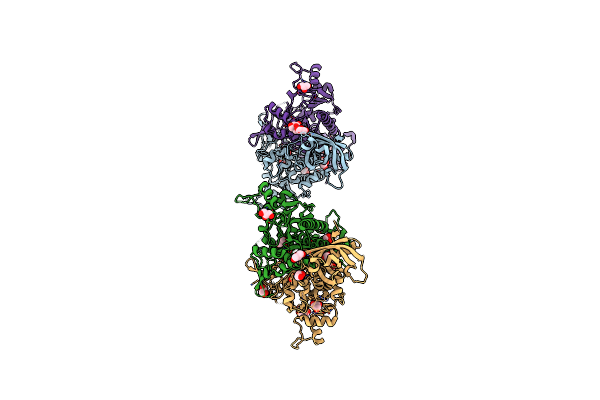 5XIX image