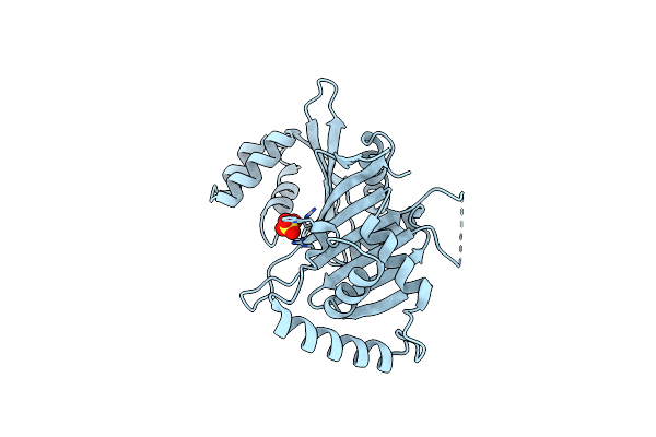 5XKL image