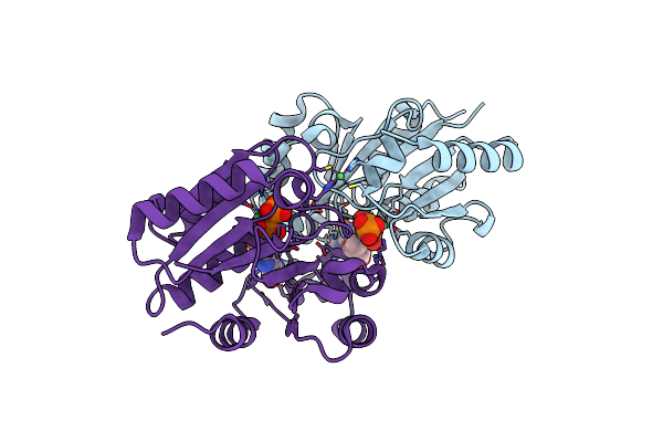 5XKT image