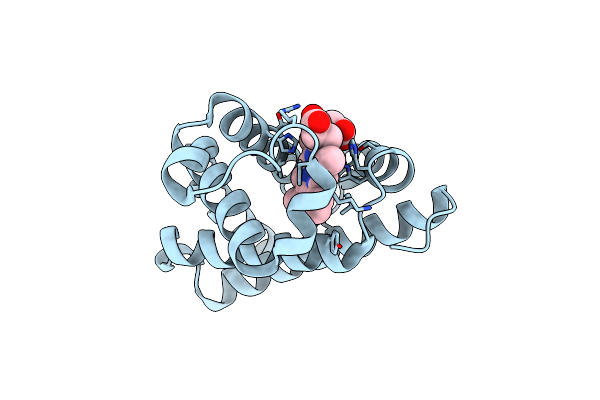 5XKV image