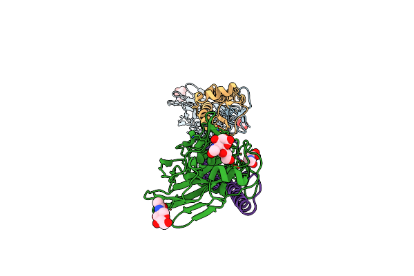 5XLC image