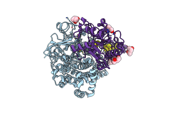 5XLE image