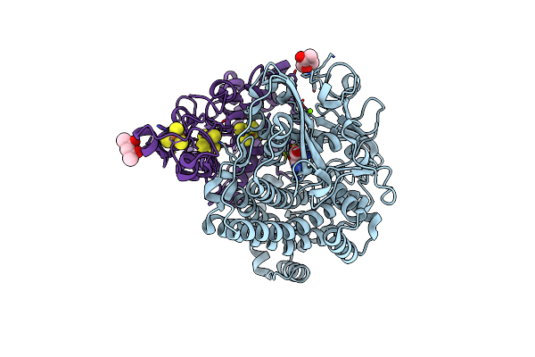 5XLF image