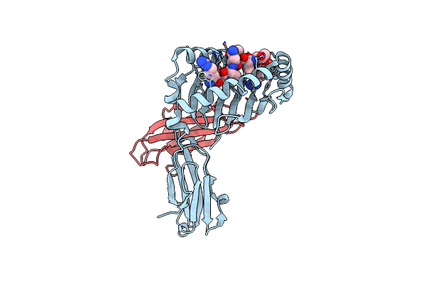 5XMF image