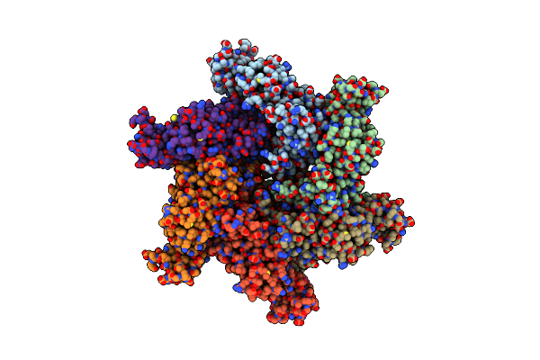 5XMI image