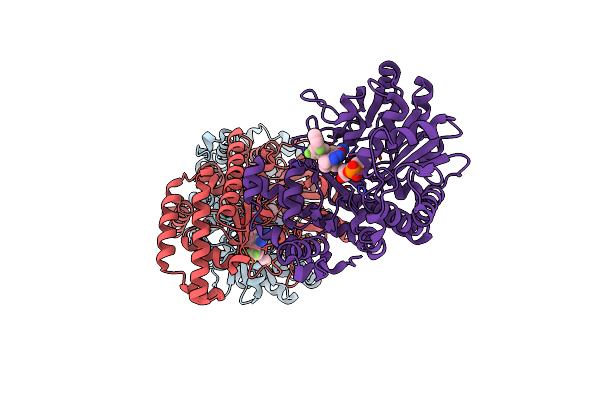 5XMS image