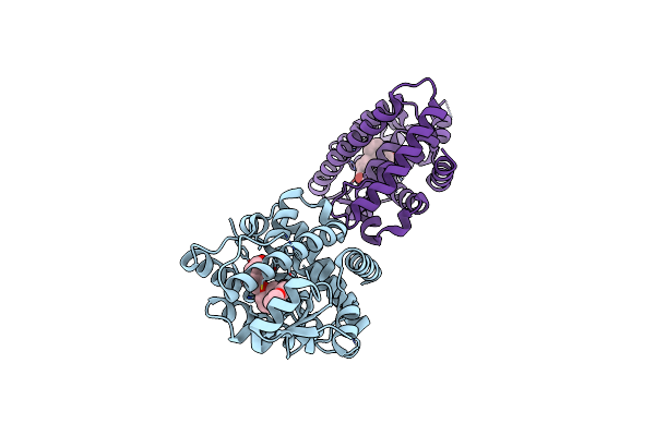 5XMX image
