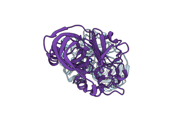 5XNE image