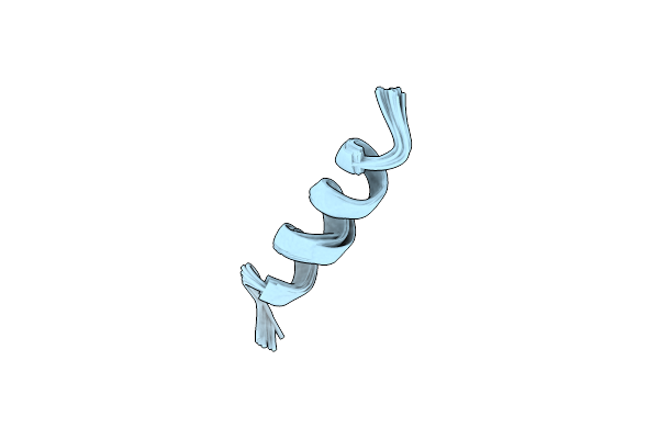 5XNG image