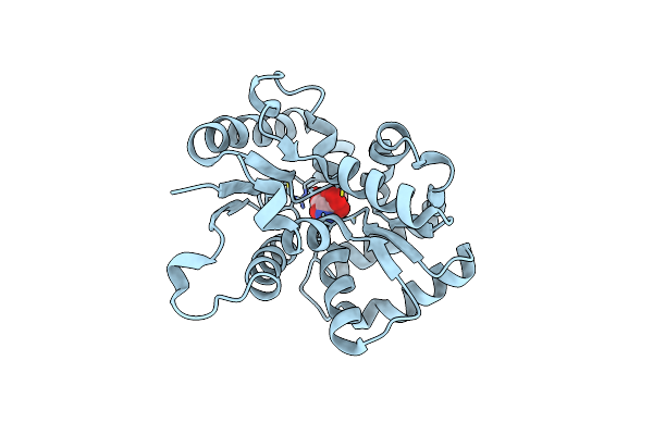 5XNK image