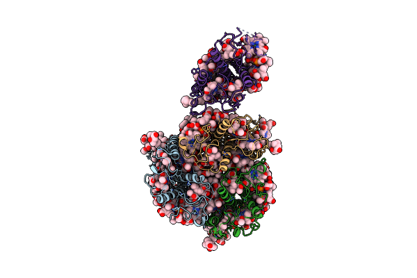 5XNN image