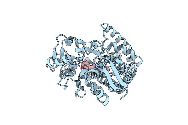 5XNT image