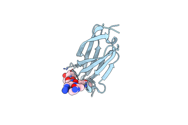 5XNV image