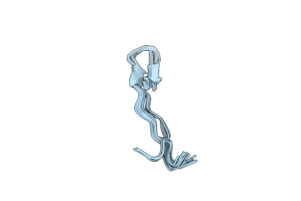 5XO5 image