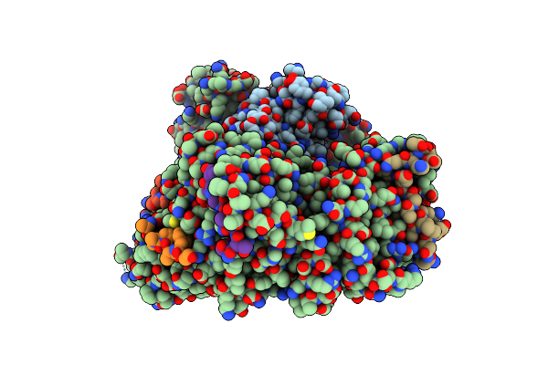 5XOJ image
