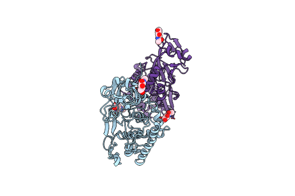 5XOM image
