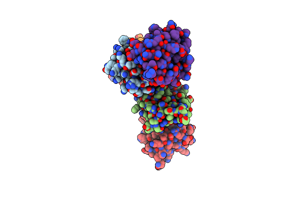 5XOR image