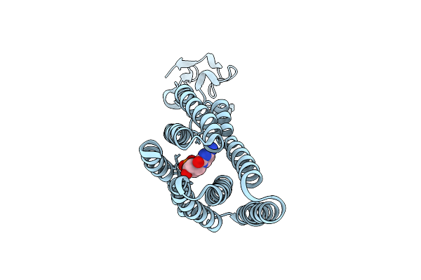5XPD image