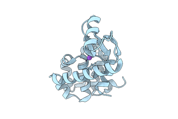 5XPE image