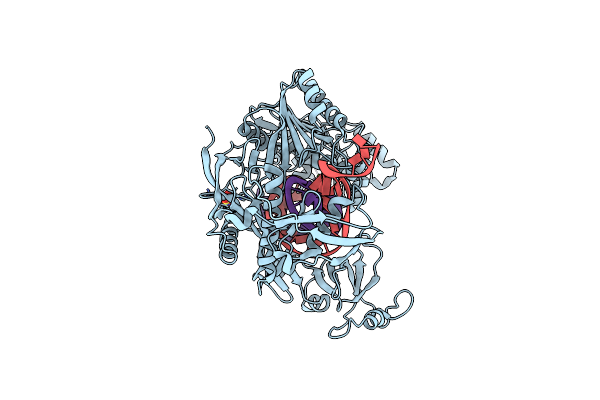 5XPG image
