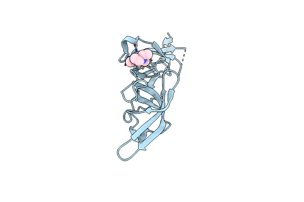 5XPI image