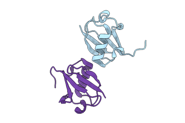 5XPK image
