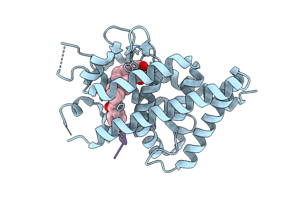5XPL image