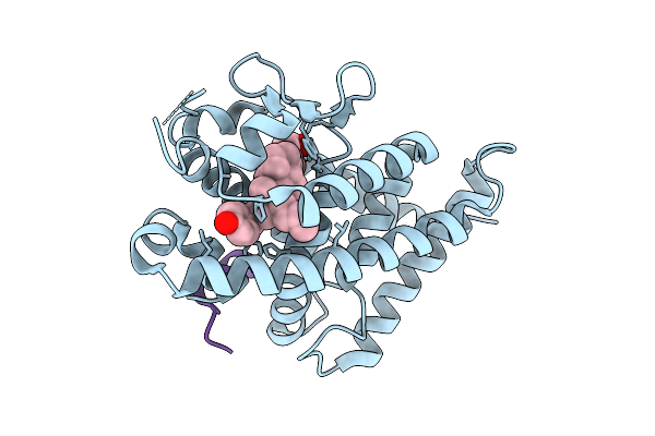 5XPM image