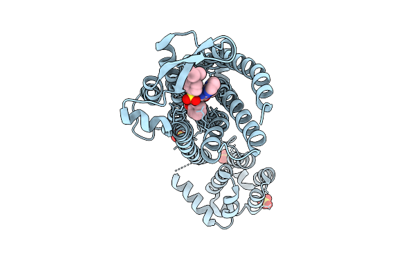 5XPR image