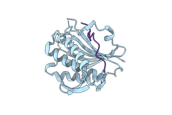 5XPT image