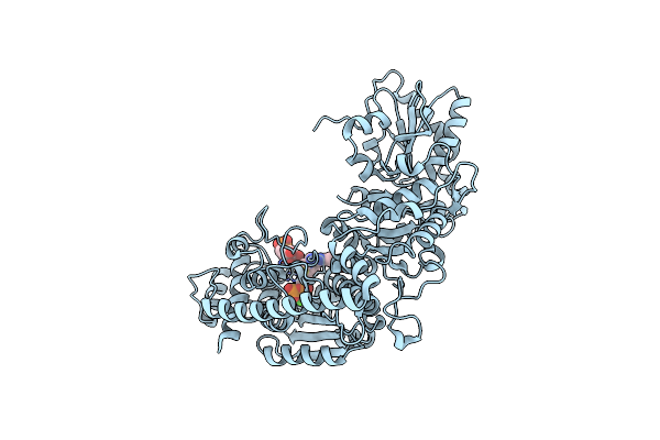 5XQA image