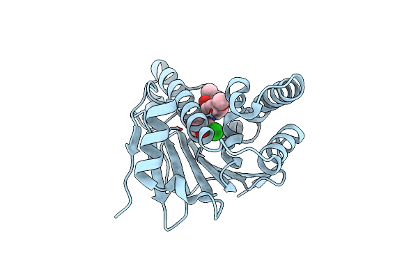 5XQE image