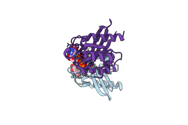 5XR7 image