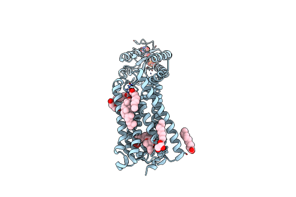 5XRA image