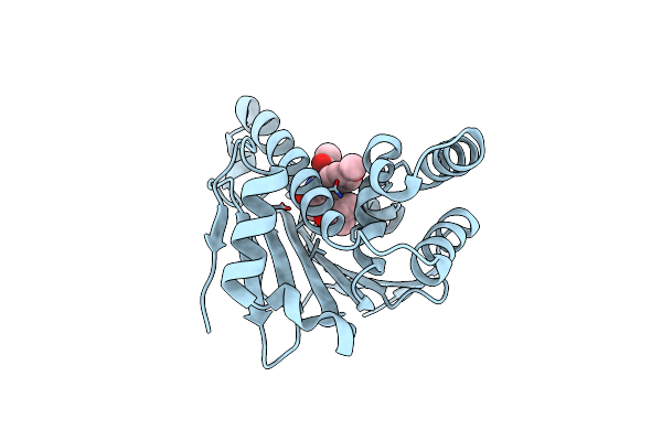 5XRD image