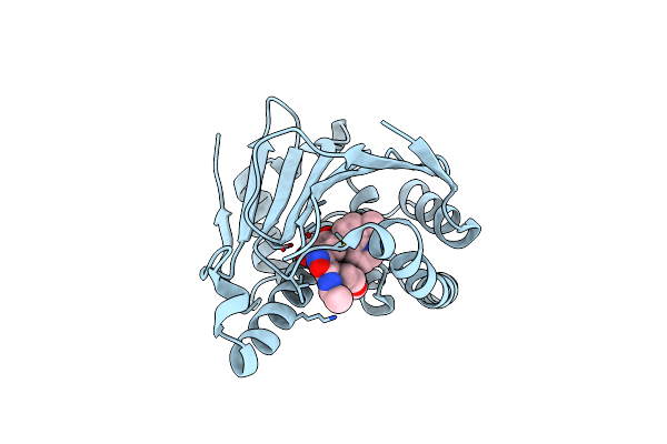 5XRE image