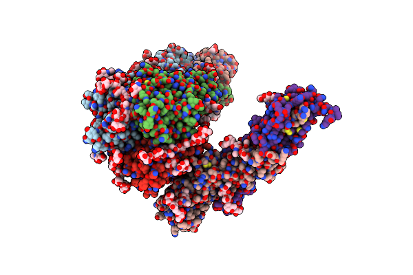 5XRT image