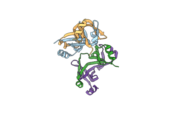 5XRW image