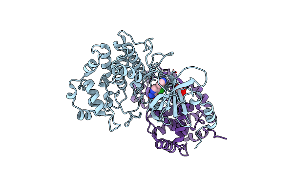5XS2 image