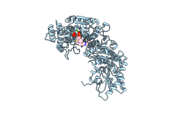 5XSA image