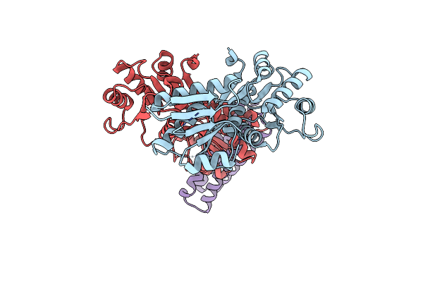5XSD image