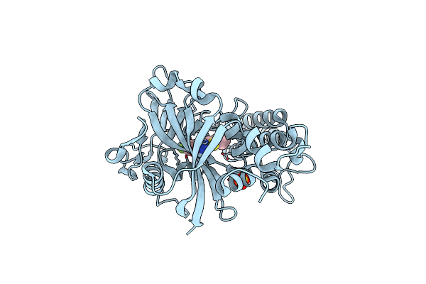 5XST image