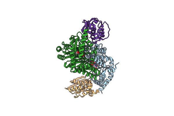 5XT6 image