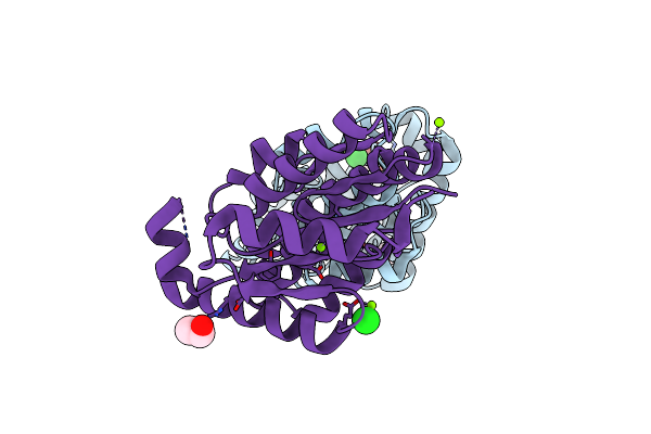 5XT8 image