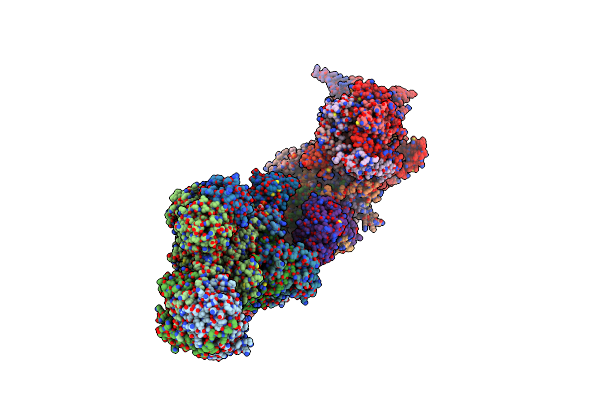 5XTD image