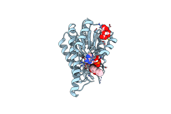 5XTG image