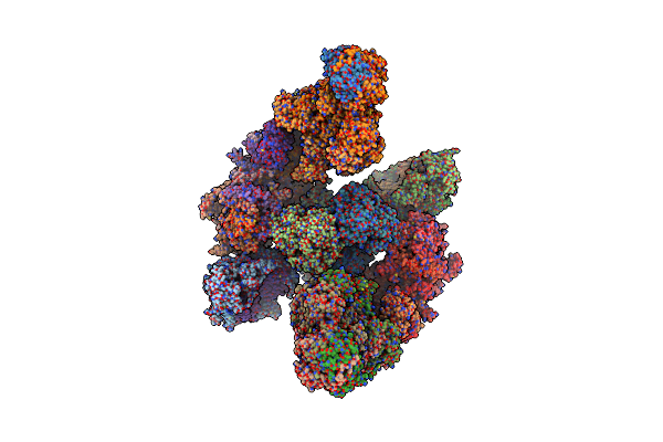 5XTI image